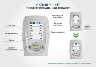 СКЭНАР-1-НТ (исполнение 01)  в Дзержинском купить Медицинская техника - denasosteo.ru 